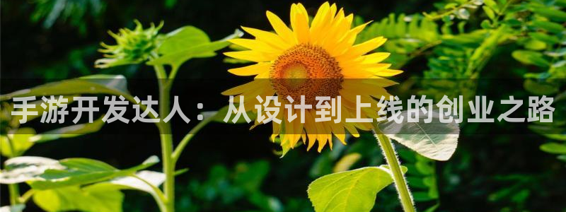 完美电竞预测网站