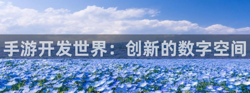 28大神怎么上不去了：手游开发世界：创新的数字空间