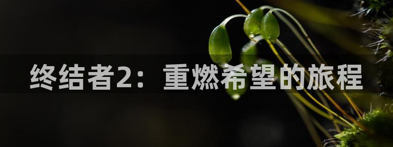 28大神吧论坛没了：终结者2：重燃希望的旅程