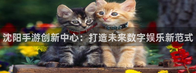 大神吧论坛28算法注册：沈阳手游创新中心：打造未来数字娱乐新