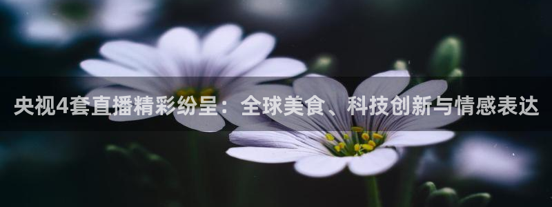 178体育视频直播免费观看：央视4套直播精彩纷呈：全球美食、科技创新与情感表达
