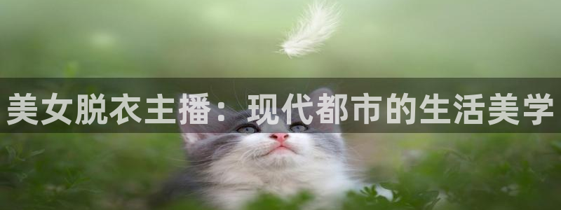 178免费nba直播：美女脱衣主播：现代都市的生活美学