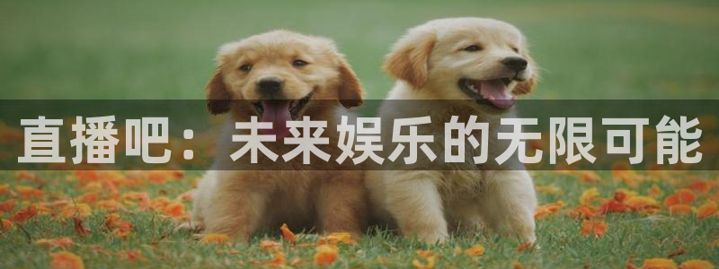 178直播足球直播：直播吧：未来娱乐的无限可能