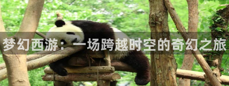 足球直播178高清直播：梦幻西游：一场跨越时空的奇幻之旅